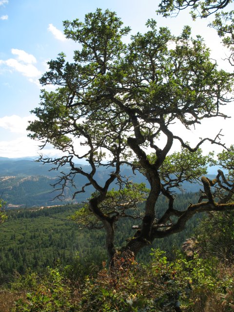 7.30.06 Coyote Wall, Labyrinth 063 